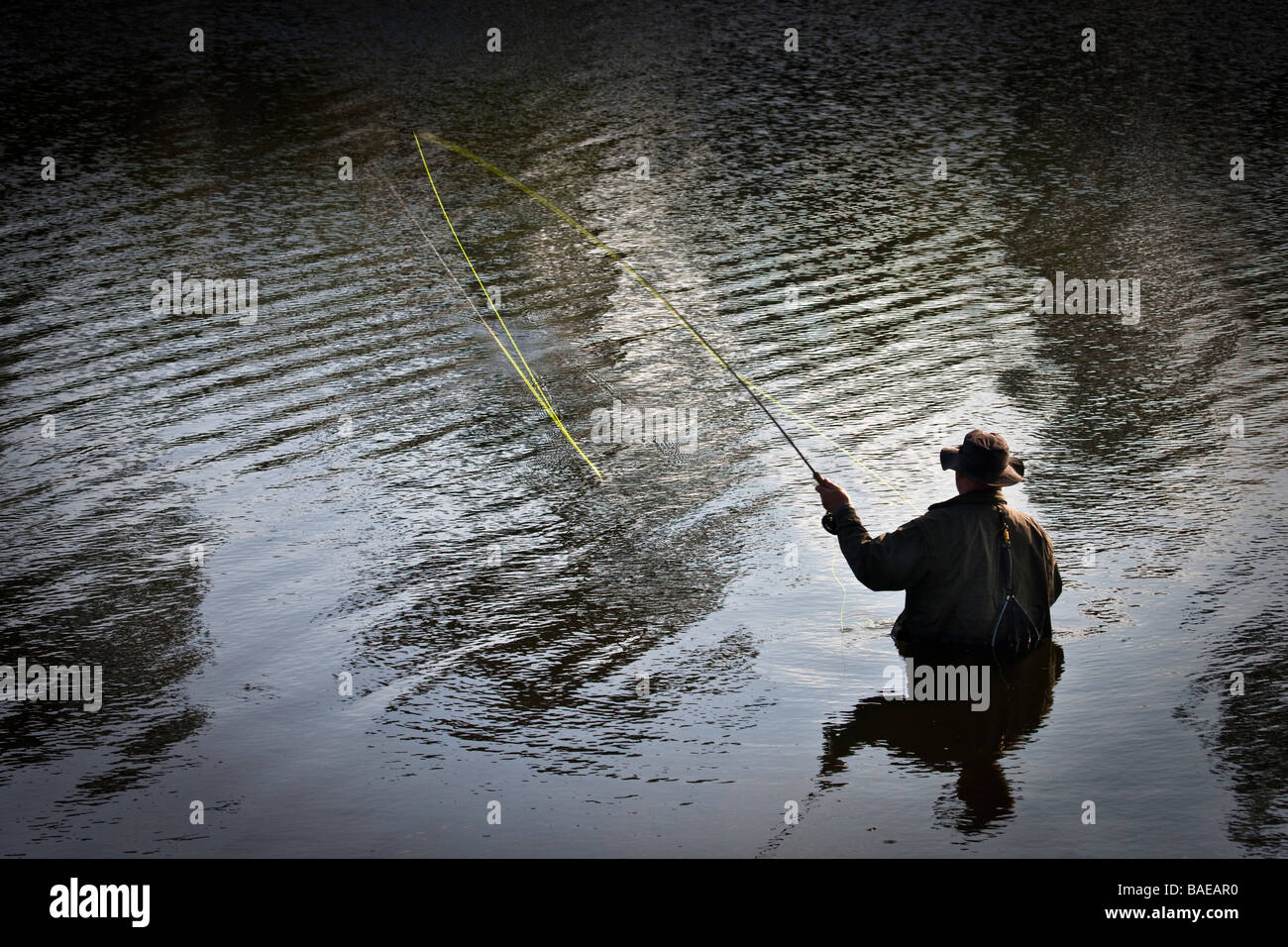 Wading trout fisherman casting at Thornton Reservoir Leicestershire Stock Photo