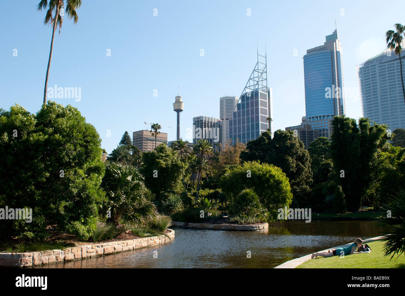 Royal Botanic Gardens and Central Business District Sydney NSW Australia Stock Photo