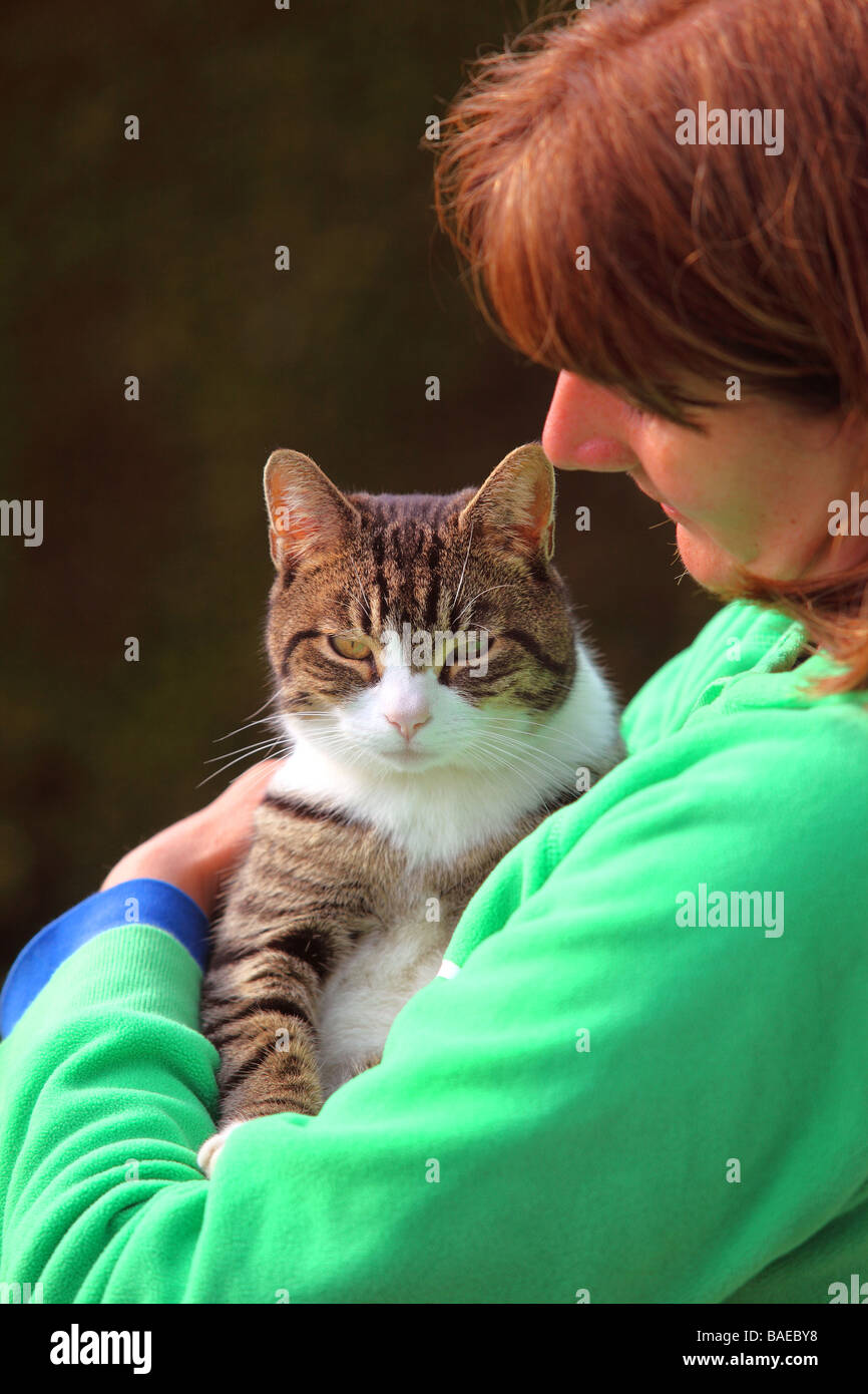 Cat being cuddled Stock Photo Alamy