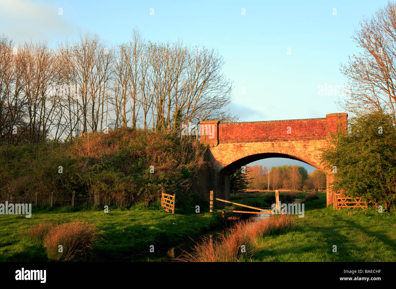 A railway bridge supporting the Bure Valley Railway and walk over the Mermaid stream in evening light. Stock Photo