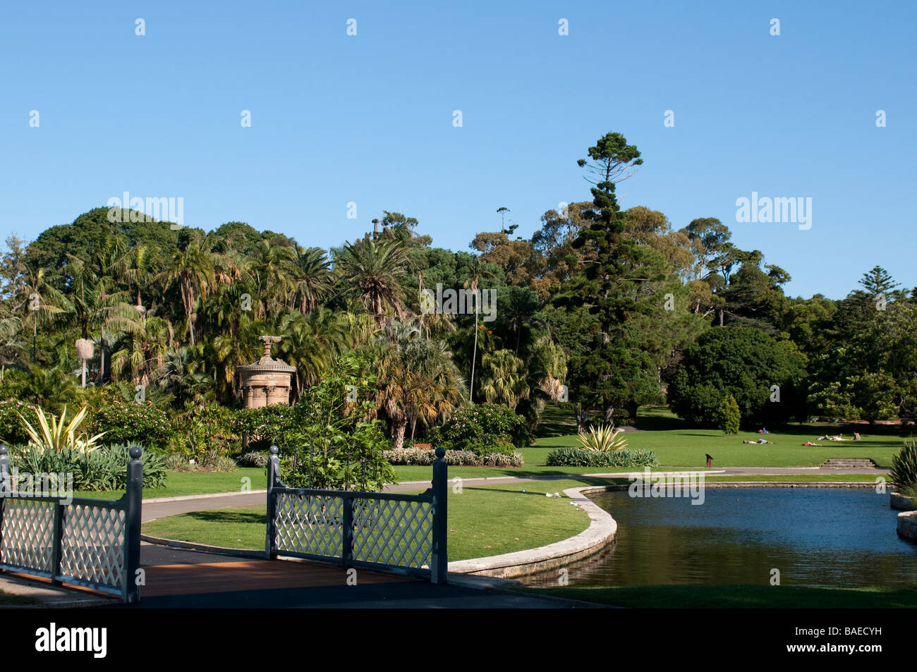 Royal Botanic Gardens Sydney NSW Australia Stock Photo