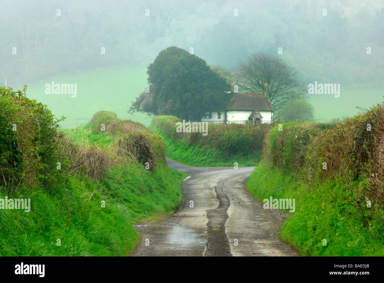 Rural country lane in the South Downs near Graffham west sussex England