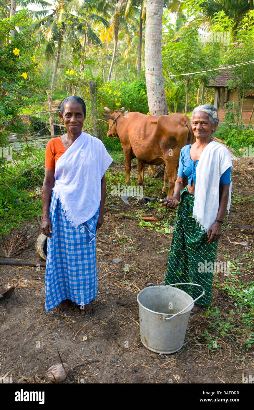 Women farm workers at the scenic Philipkutty’s Farm,an upmarket homestay and spice farm on the Backwaters, Kumarakom, Kerala, Southern India, India Stock Photo
