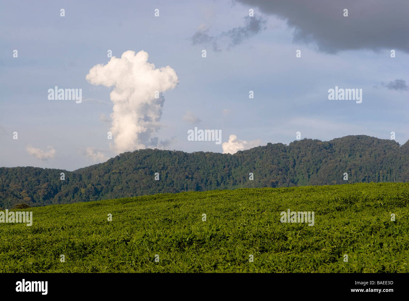 Tropical Convection Cloud, Rwanda Stock Photo