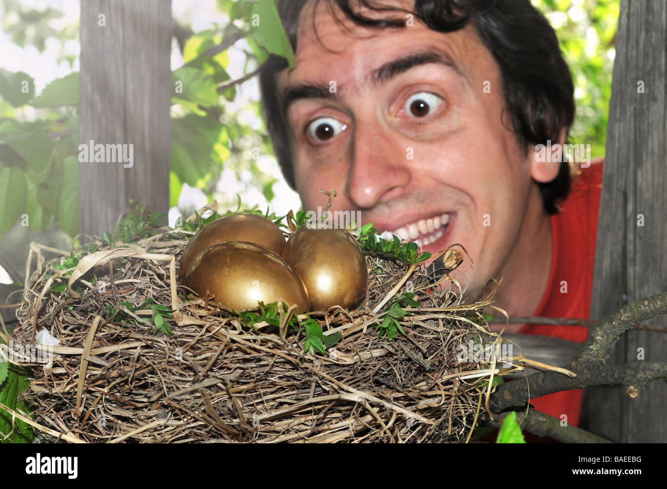 Happy surprised man on a ladder finding nest full of golden eggs. Stock Photo