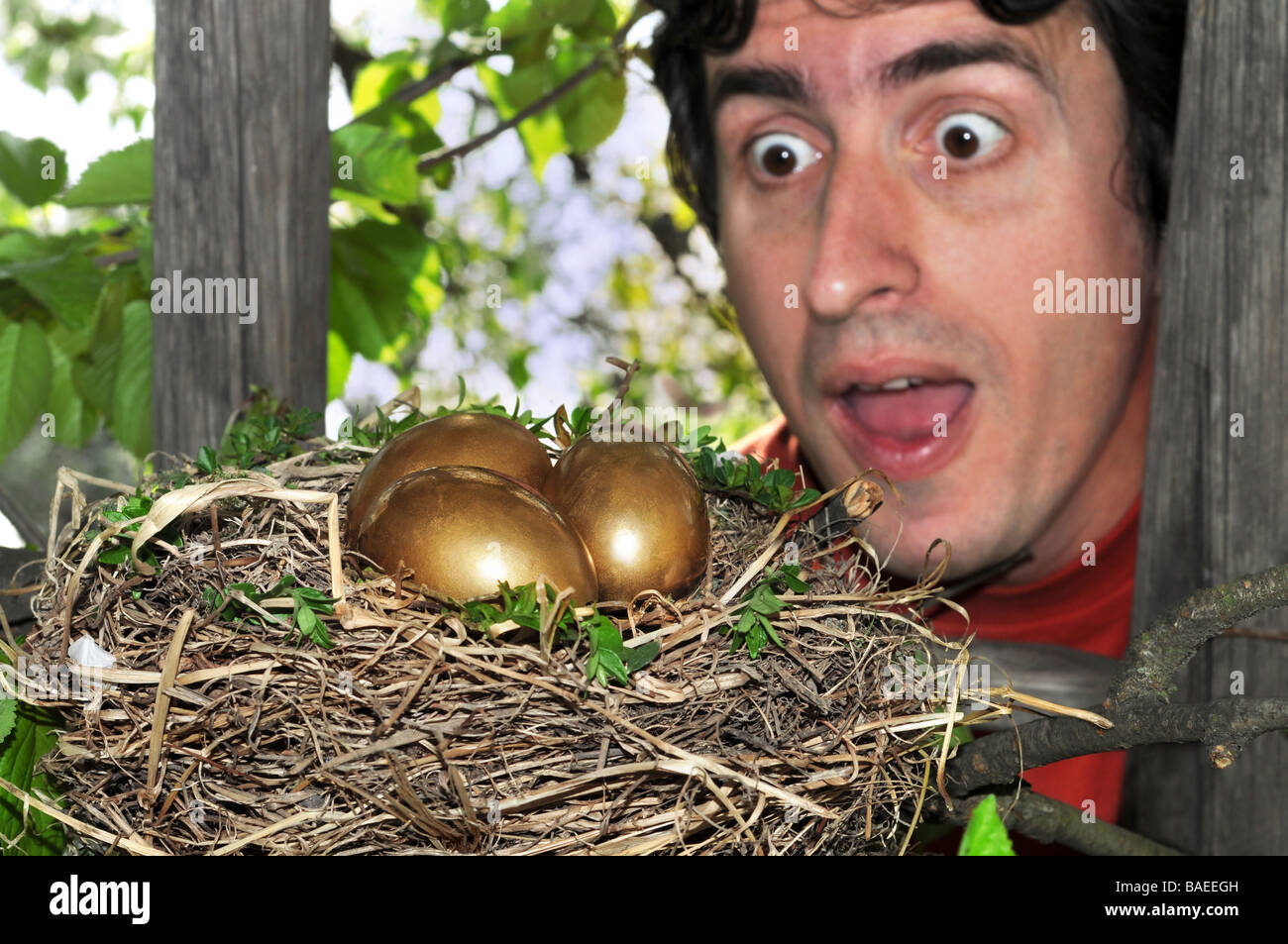 Surprised man on a ladder finding nest with golden eggs. Stock Photo