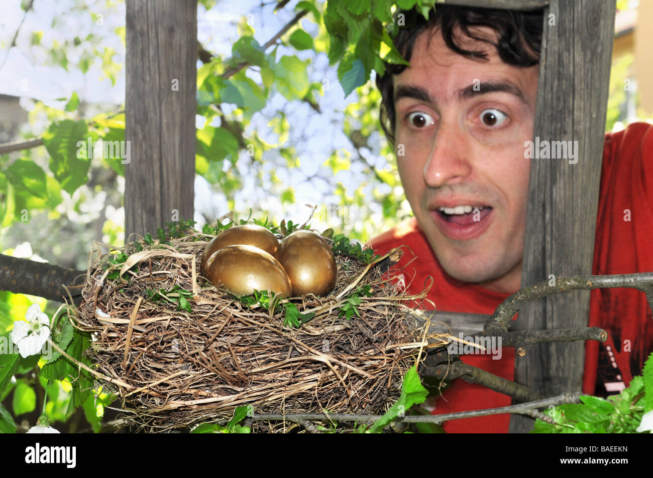 Happy surprised man on a ladder finding nest with golden eggs. Stock Photo