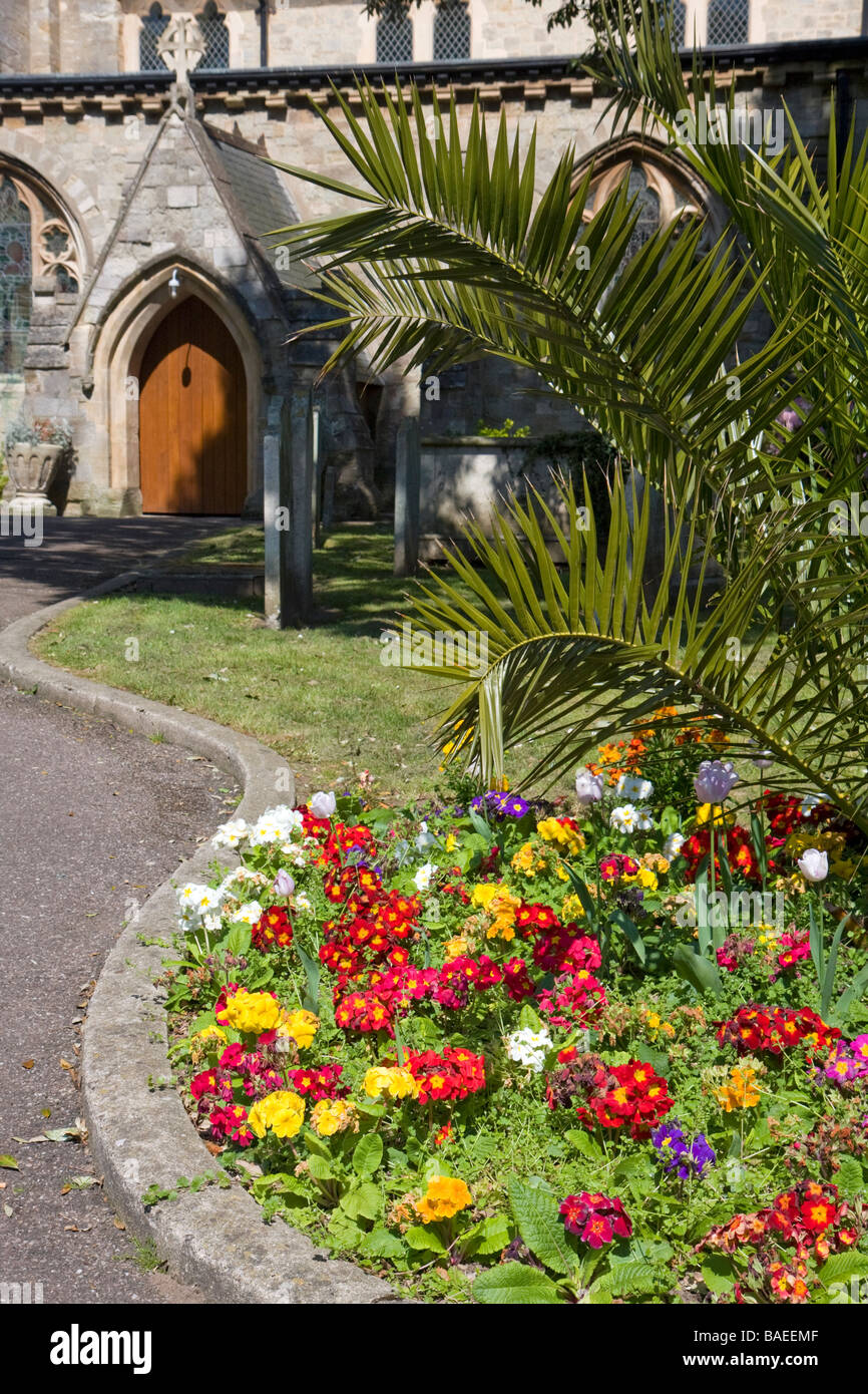 Spring flowers outside Church of St Giles & St Nicholas Church, Sidmouth, Devon Stock Photo