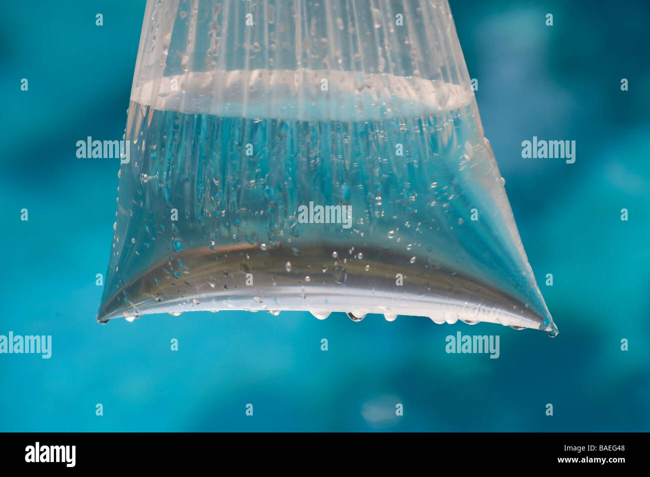 plastic bag holding water Stock Photo