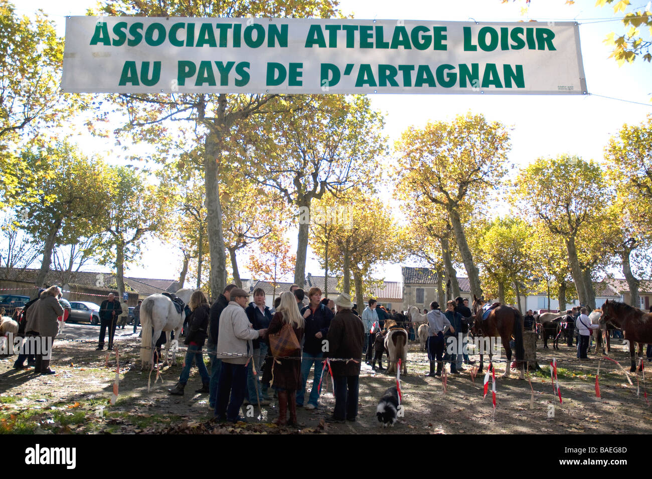 At a lowkey horse fair in Vic Fezensac, France, a banner promotes a Gascon association of harness-horses in D'Artagnan country Stock Photo