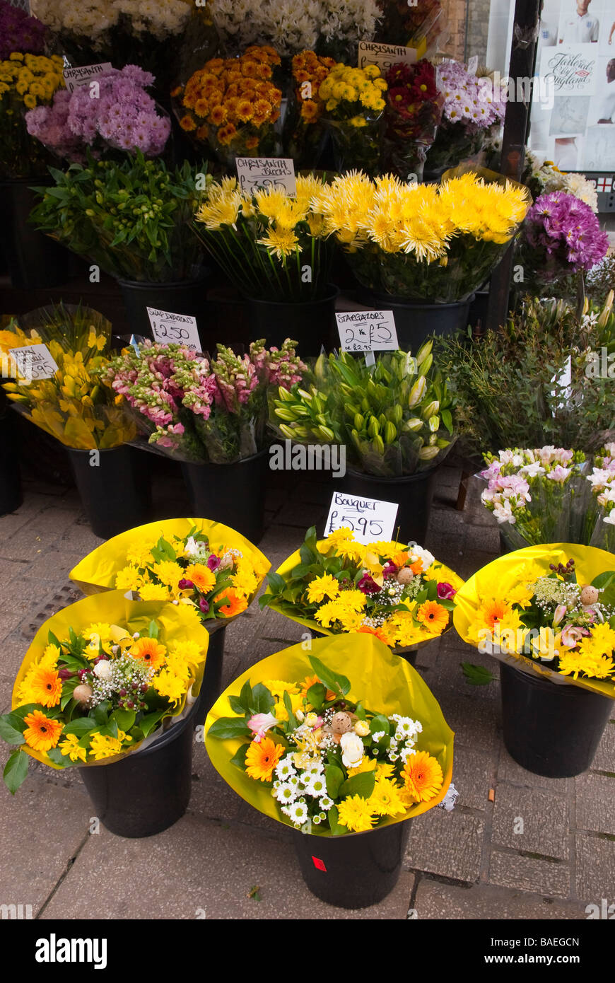 Asda Outdoor Plants For Sale