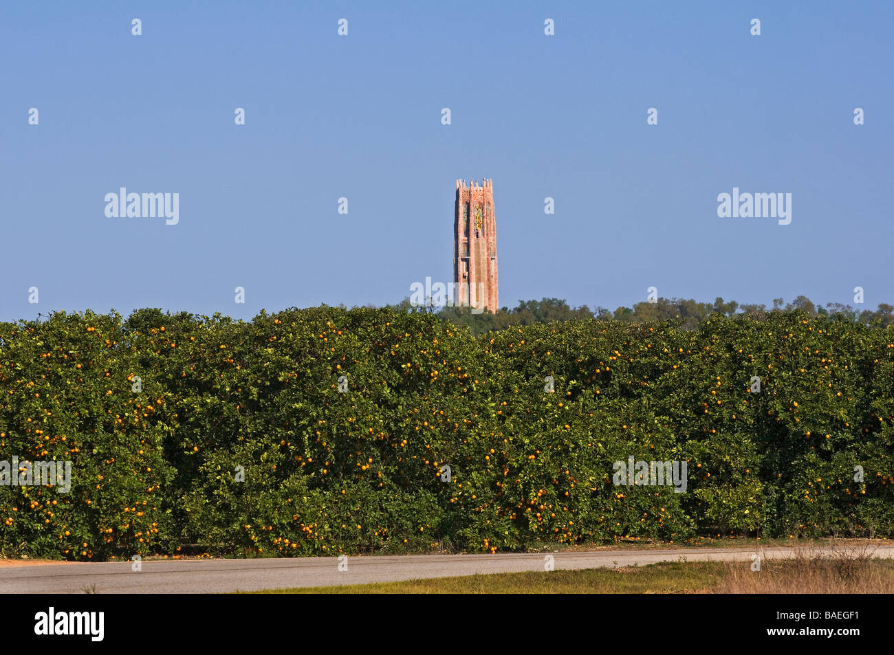 Bok Tower looms over surrounding orange groves Lake Wales Florida Stock Photo