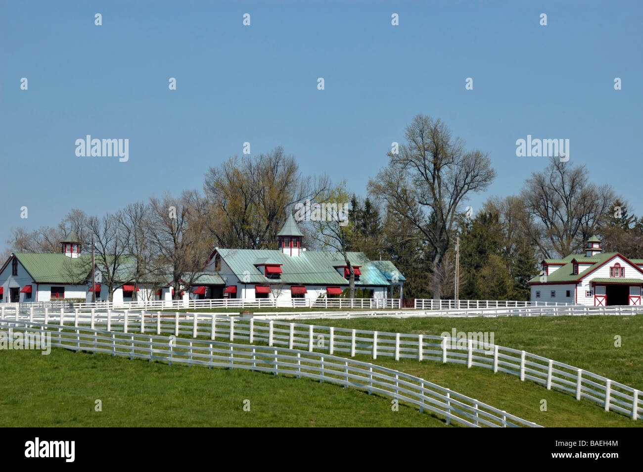 Calumet Farm in Lexington, Kentucky USA Stock Photo Alamy