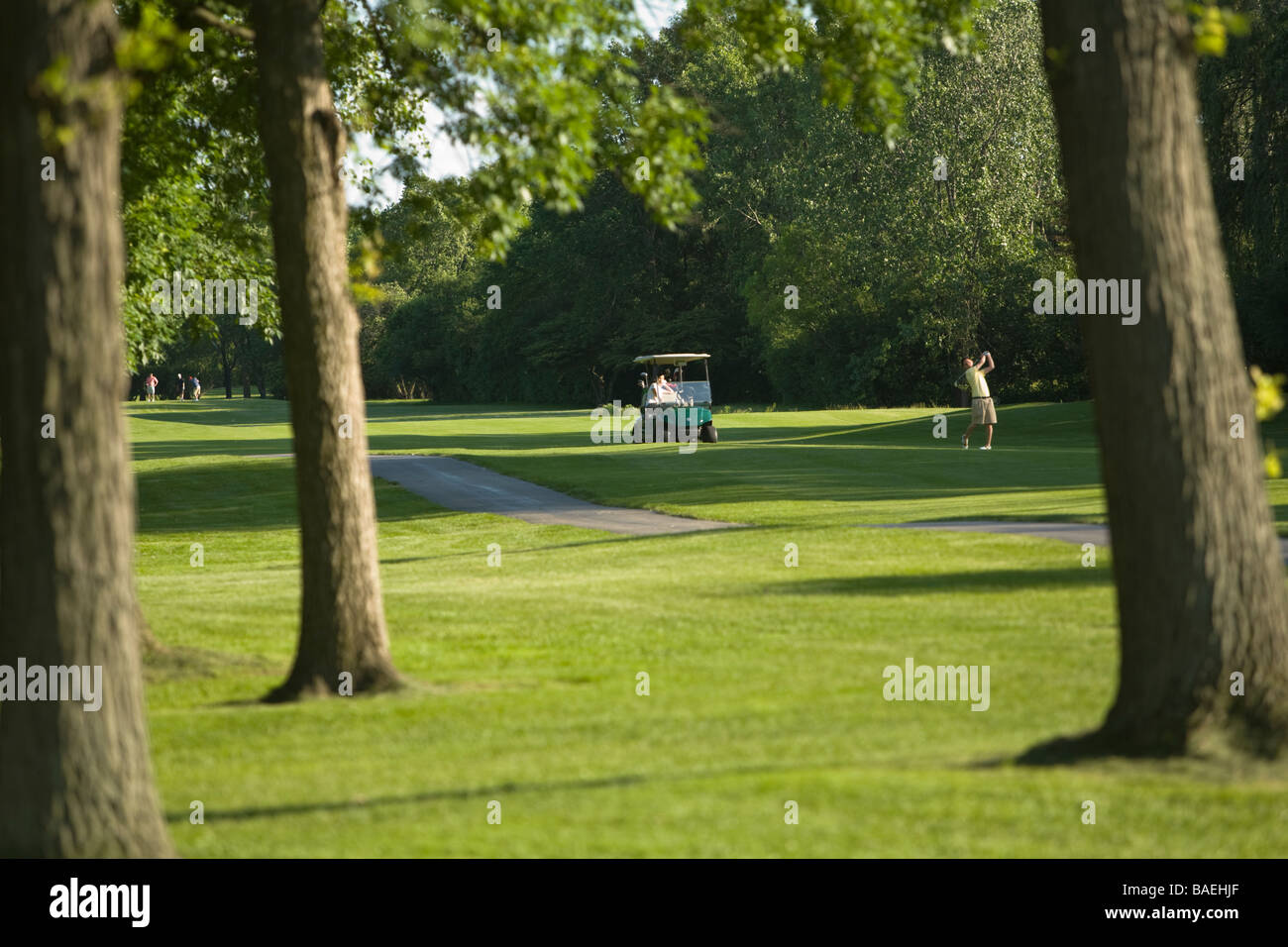 GOLF Deerfield Illinois View man swinging club on fairway of public course through tree trunks golf cart Stock Photo