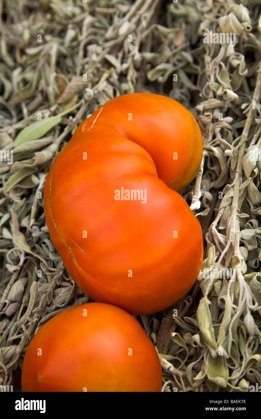 MEXICO Todos Santos Roadside stand selling organic fruits and