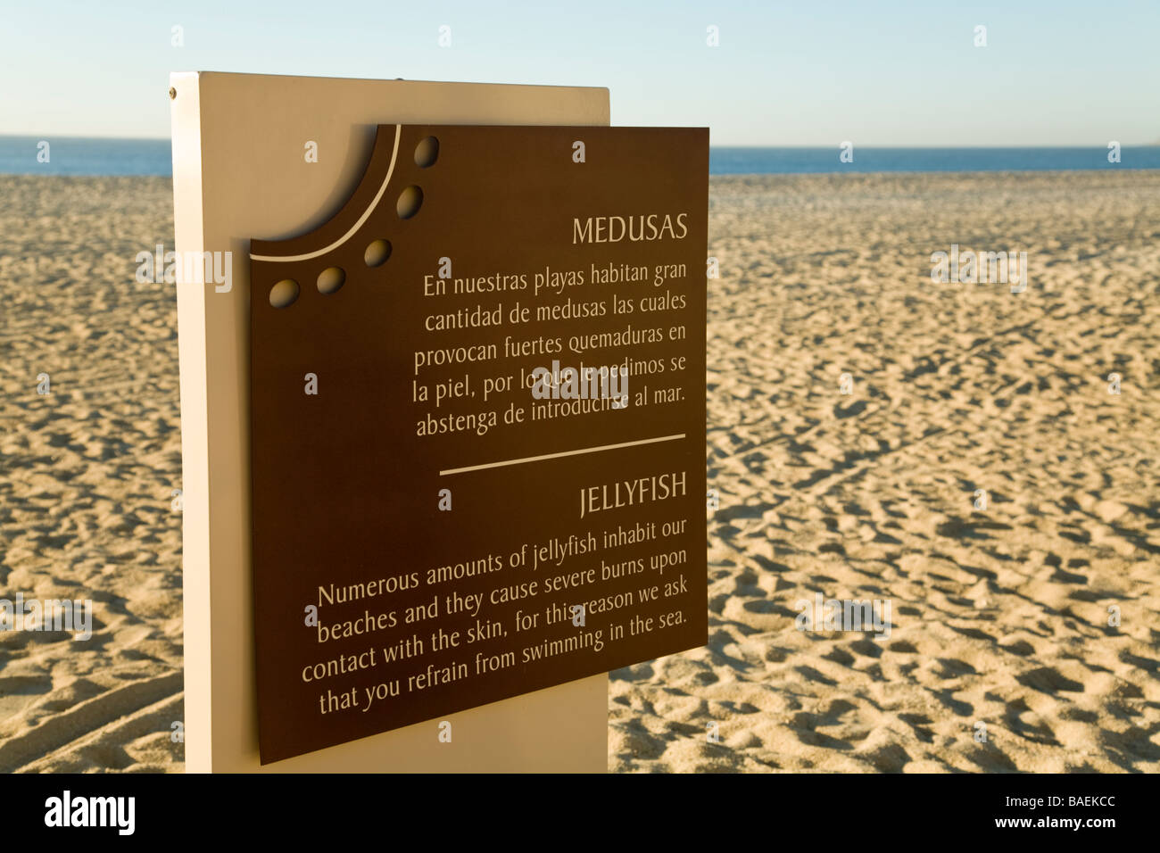 MEXICO San Jose del Cabo Jellyfish warning sign on beach in English and Spanish Stock Photo