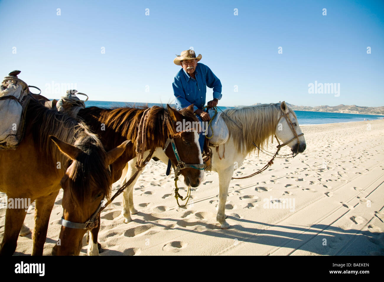 MEXICO San Jose del Cabo Mexican man on horseback wearing cowboy hat and holding reins to horses on beach Stock Photo