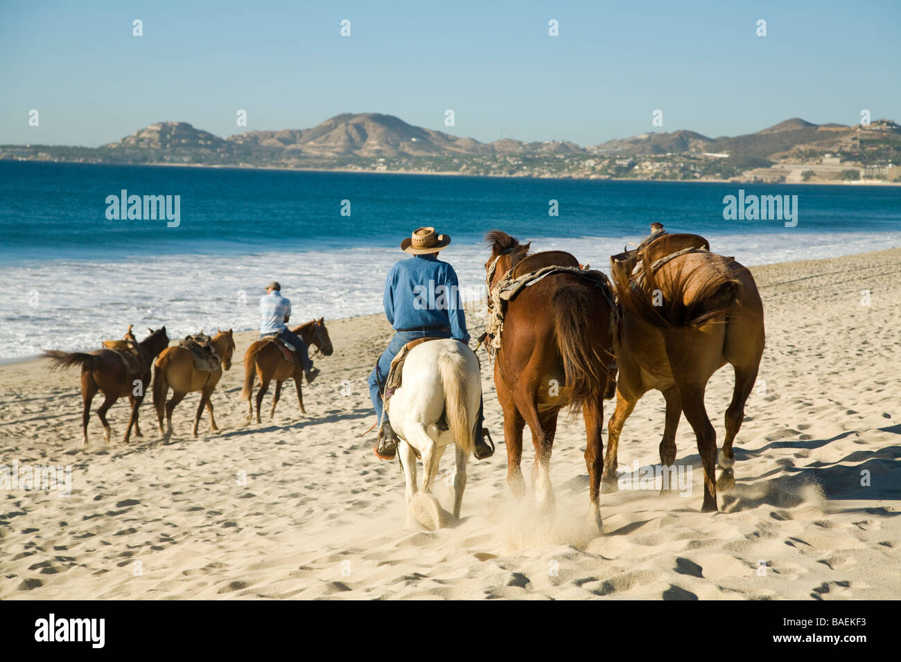 MEXICO San Jose del Cabo Mexican men on horseback wearing cowboy hat  and holding reins to horses walking beach near resorts Stock Photo