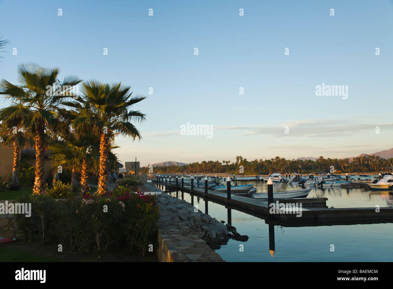 MEXICO La Playita Pangas and fishing boats in marina harbor in early morning mountains of the Sierra de La Laguna Stock Photo