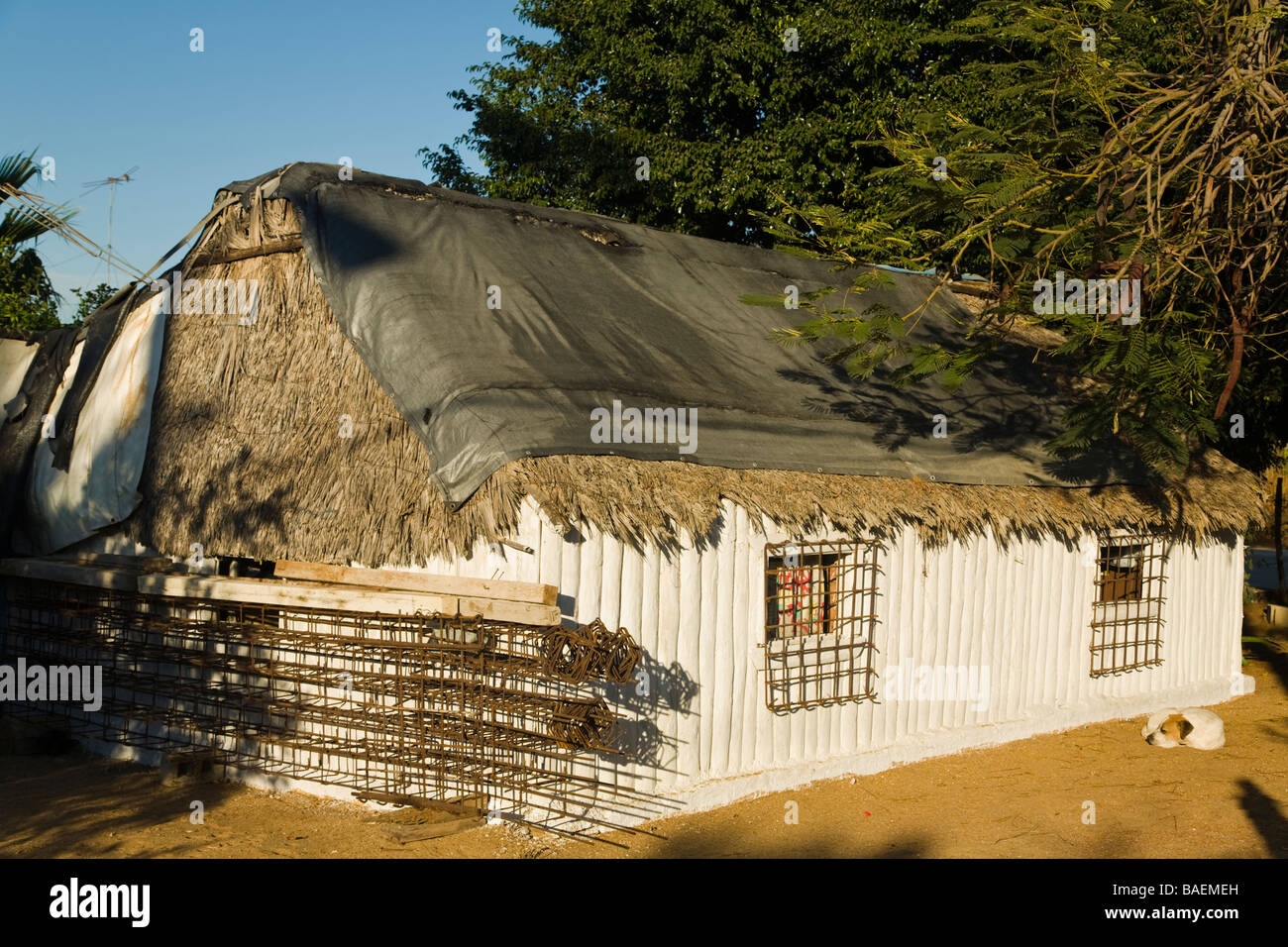 MEXICO La Playita Dog sleeping in sand outside small wooden house with tarp spread over thatched roof Stock Photo