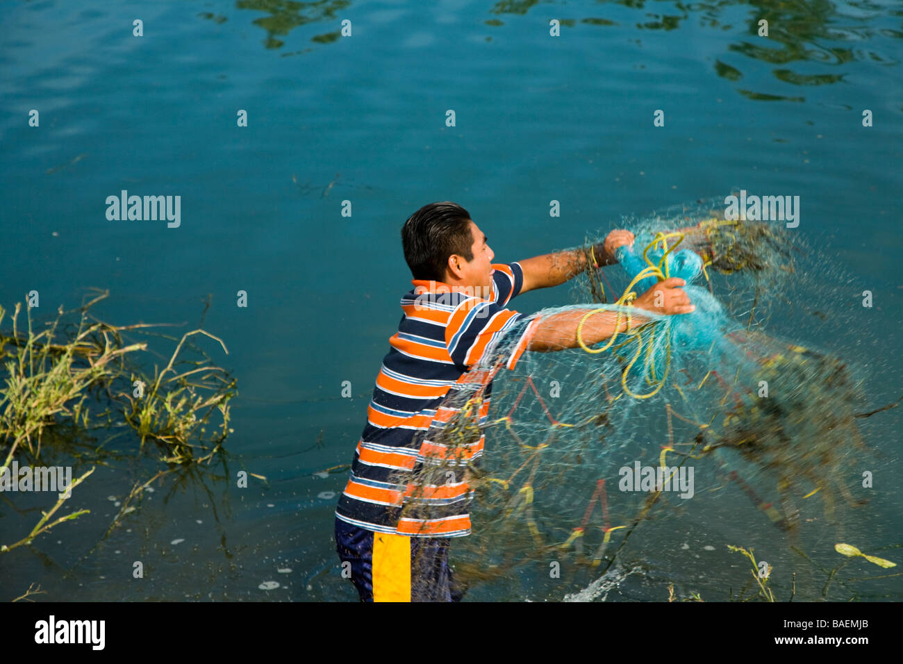 MEXICO San Jose del Cabo Mexican man throwing net by hand while fishing in freshwater river that feeds estuary Stock Photo