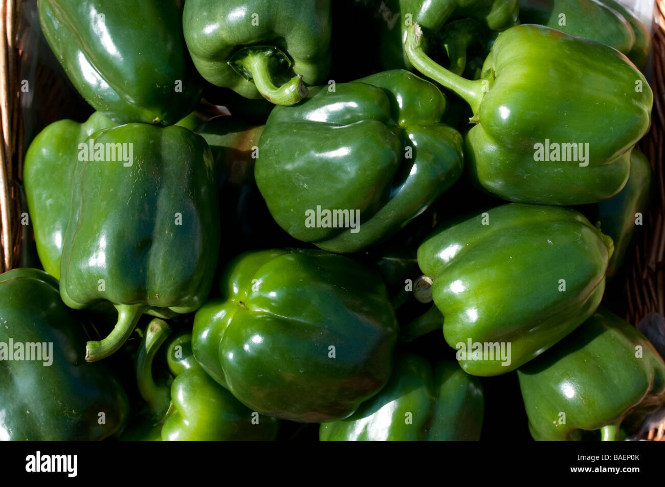Green peppers for sale on a market stall in the United Kingdom Stock Photo Alamy