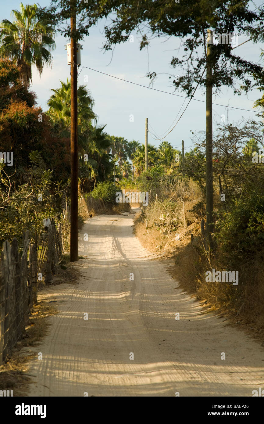 MEXICO Todos Santos Tire tracks on one lane sandy rural road to the beach Playa La Cachora palm trees Stock Photo
