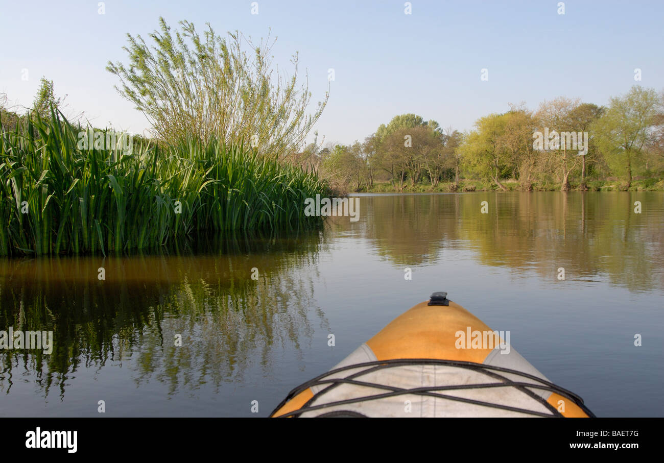 Bow of kayak exploring quiet reed beds and backwaters of River Thames, nr Shepperton, Surrey, England Stock Photo
