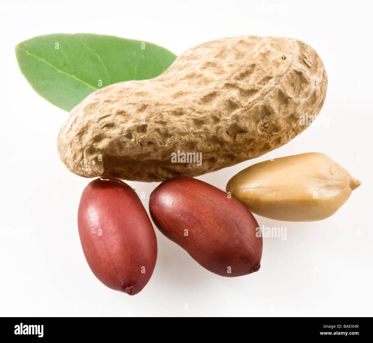 Peanut with pods and leaves on a white background Stock Photo