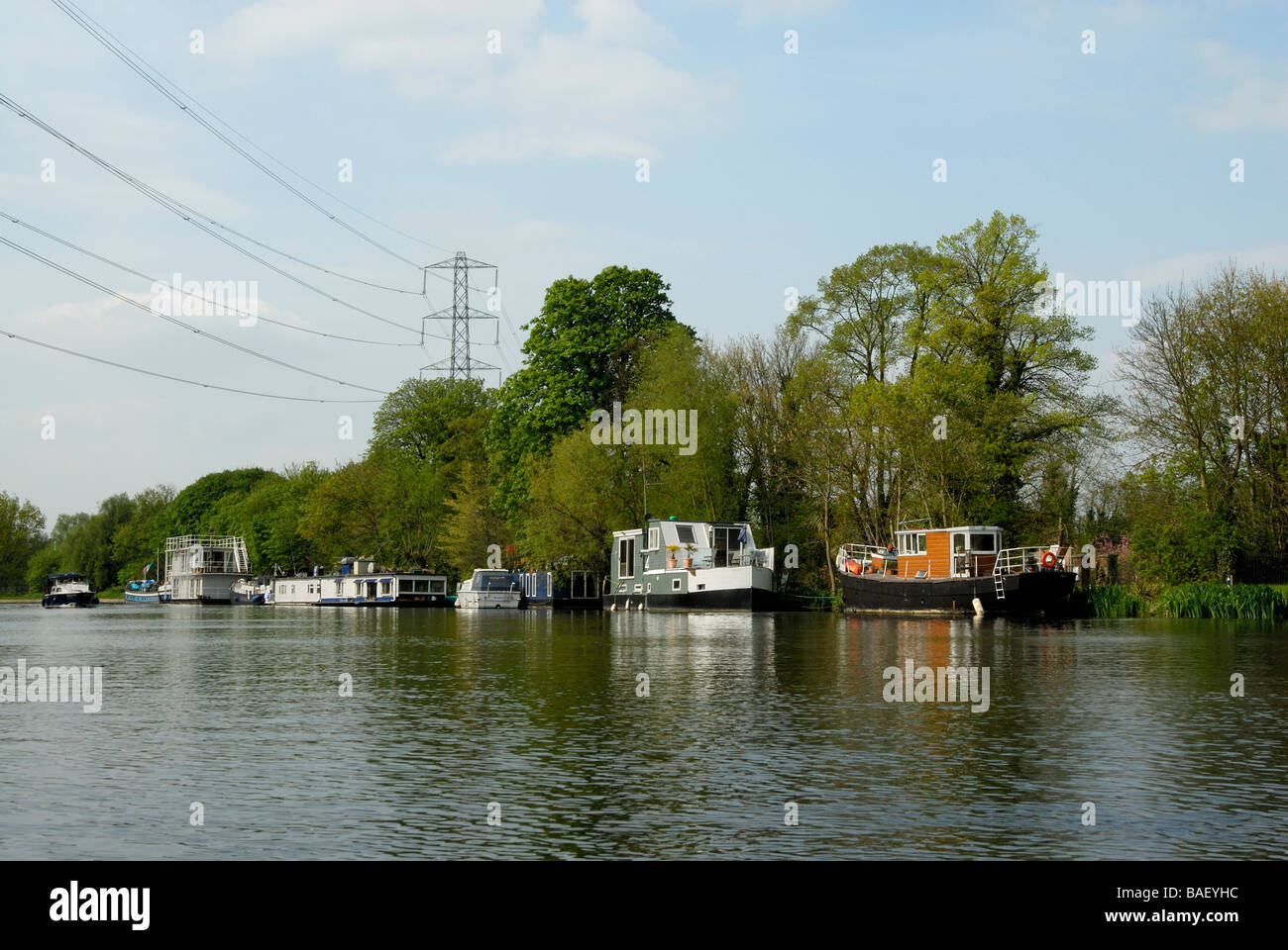 Rye Peck Meadow houseboat moorings on River Thames below Chertsey, Surrey, England Stock Photo