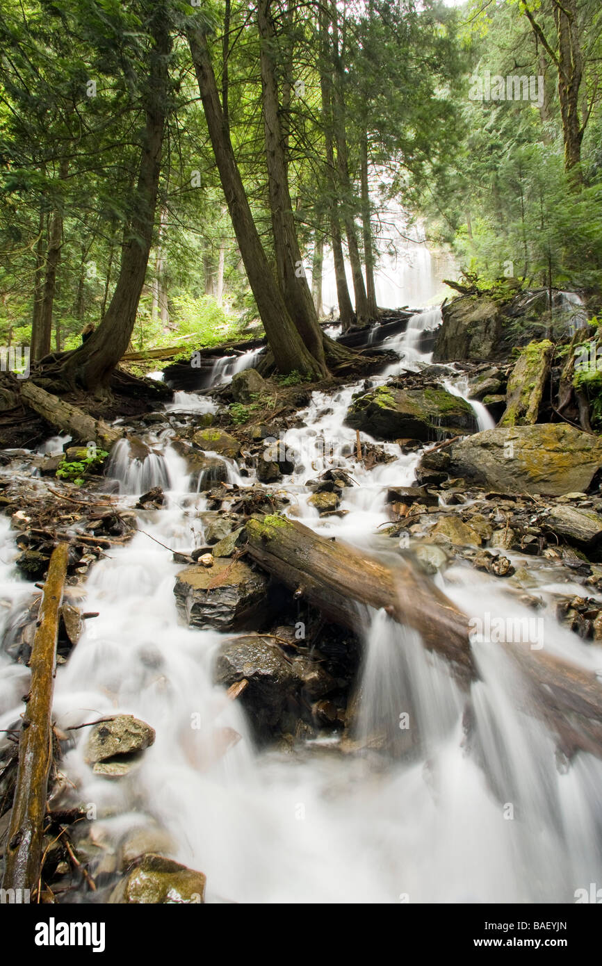 Bridal Falls Provincial Park - Chiliwack, British Columbia Stock Photo