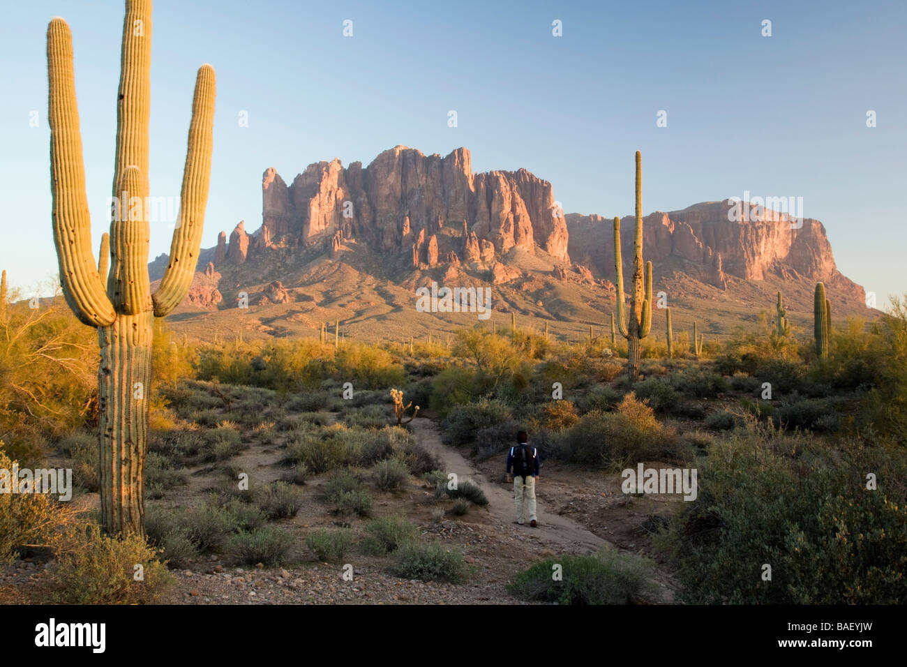 Hiker on trail to Superstition Mountains - Lost Dutchman State Park - Apache Junction, Arizona Stock Photo