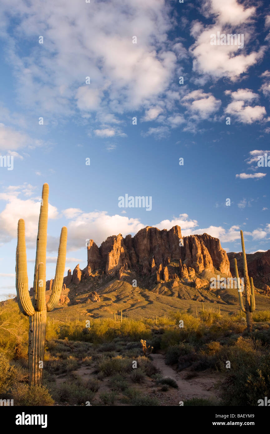 Cactus and Superstition Mountains - Lost Dutchman State Park - Apache Junction, Arizona USA Stock Photo