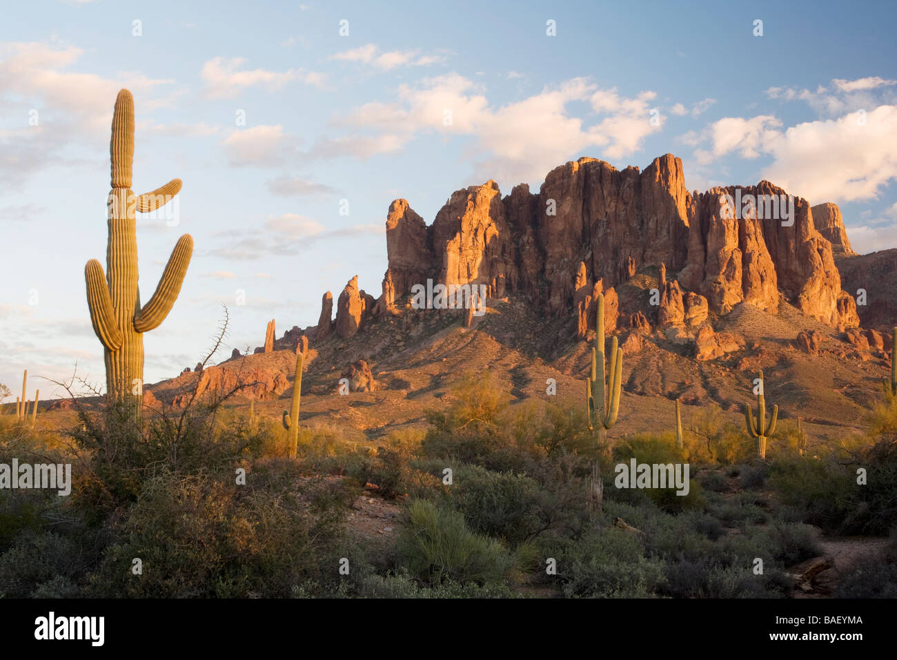 Cactus and Superstition Mountains - Lost Dutchman State Park - Apache Junction, Arizona USA Stock Photo