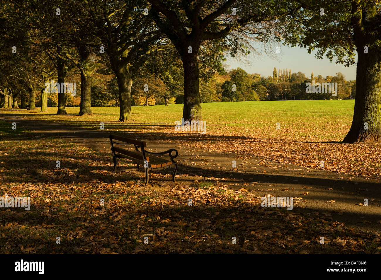A place to sit, Abington Park, Northampton, Northamptonshire, England, UK Stock Photo