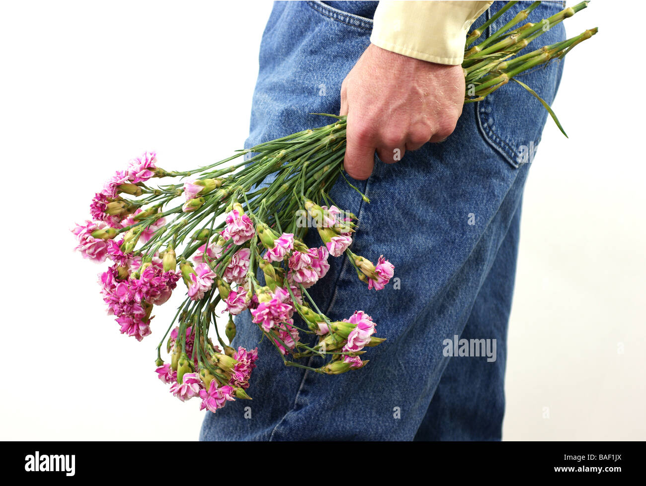 Old carnations in man's hand Stock Photo