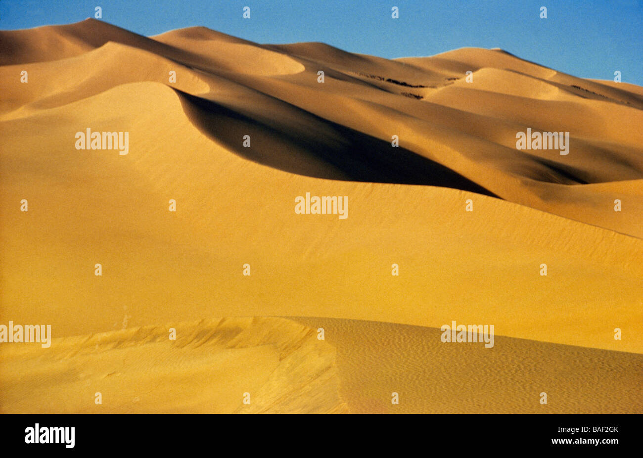 Sahara Algeria Desert And Sand Dunes Stock Photo