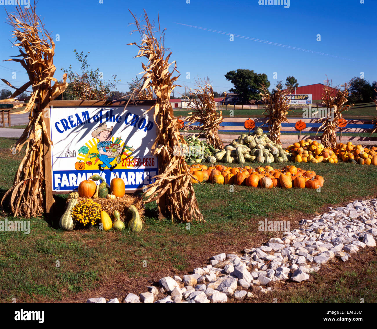 Farmers market sign with pumpkins on display Stock Photo - Alamy