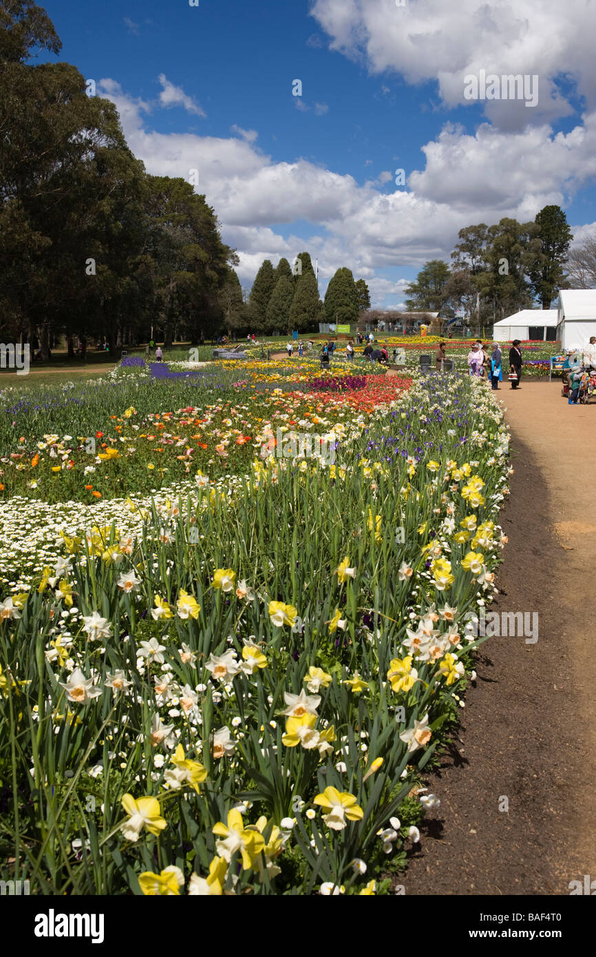 Hillside floral spectacular, Commonwealth park, Canberra, Australian