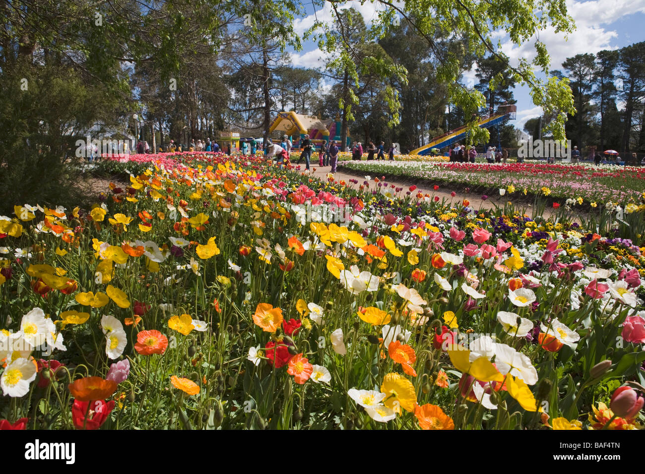 Floral spectacular, Commonwealth park, Canberra, Australian Capital