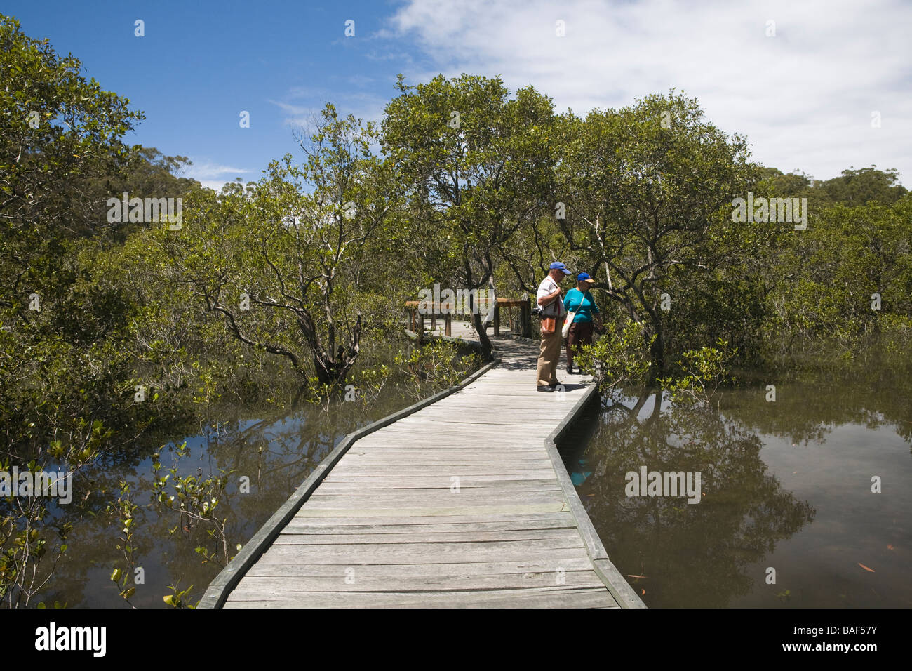 Couple viewing Coffs Harbour mangroves, New South Wales, Australia Stock Photo