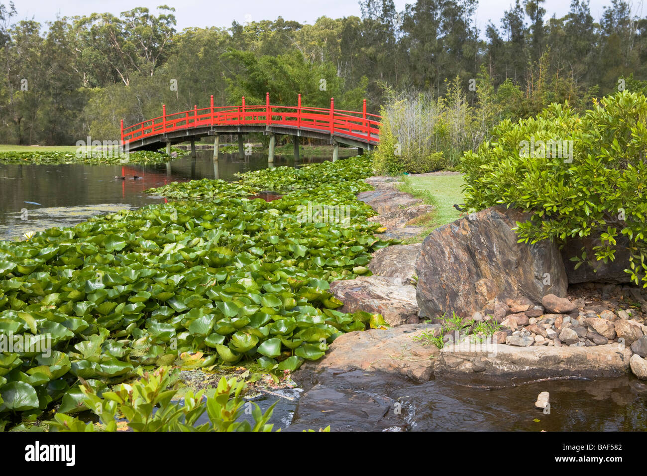 Coffs harbour botanic garden hires stock photography and images Alamy