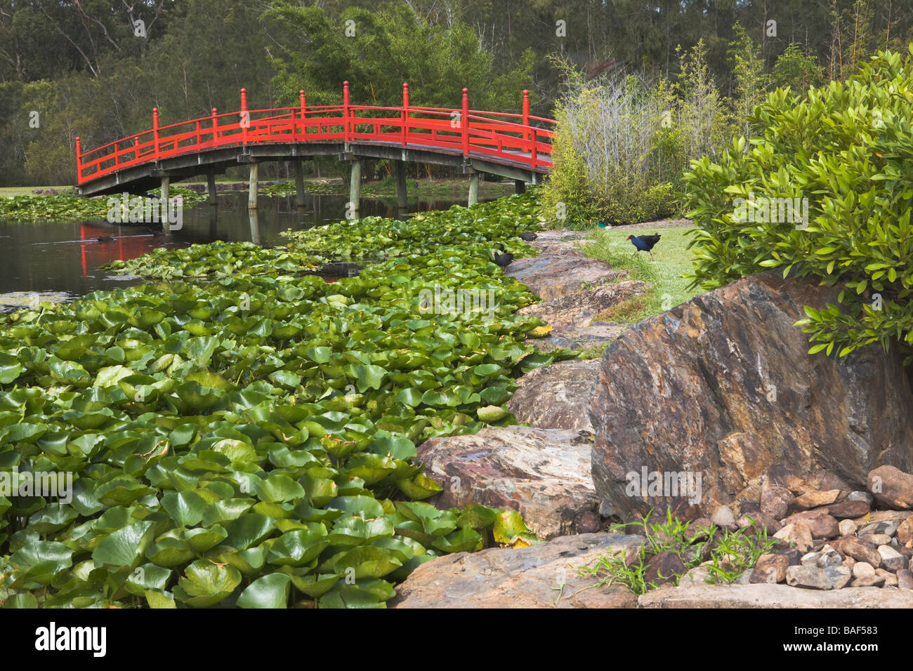 Coffs Harbour, Japanese Garden, New South Wales, Australia Stock Photo