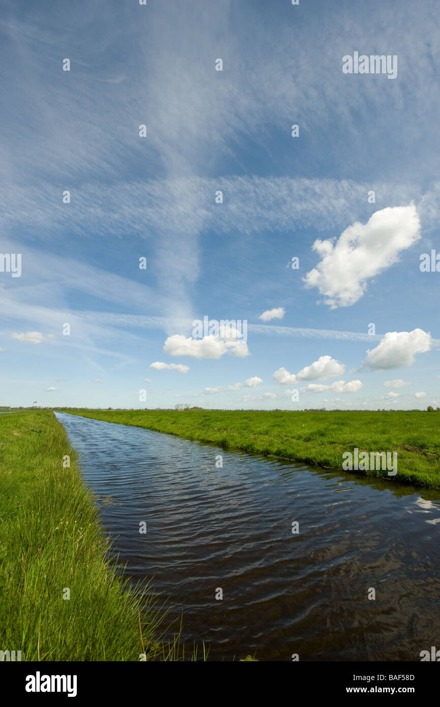 A beautiful dutch polder landscape in springtime Stock Photo