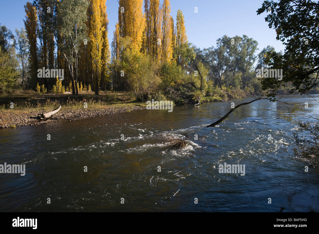 Gently flowing cold waters of the Tumut river, Tumut, New South Wales