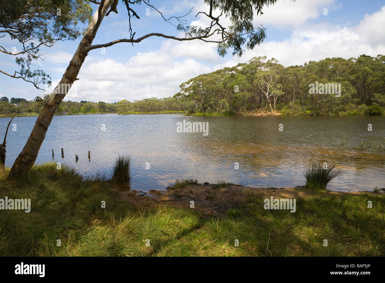 Wentworth Falls Lake, Blue Mountains, New South Wales, Australia Stock