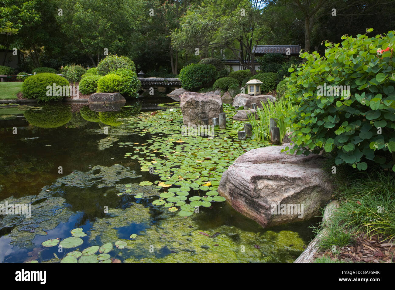 Japanese Gardens, Brisbane, Queensland, Australia Stock Photo Alamy