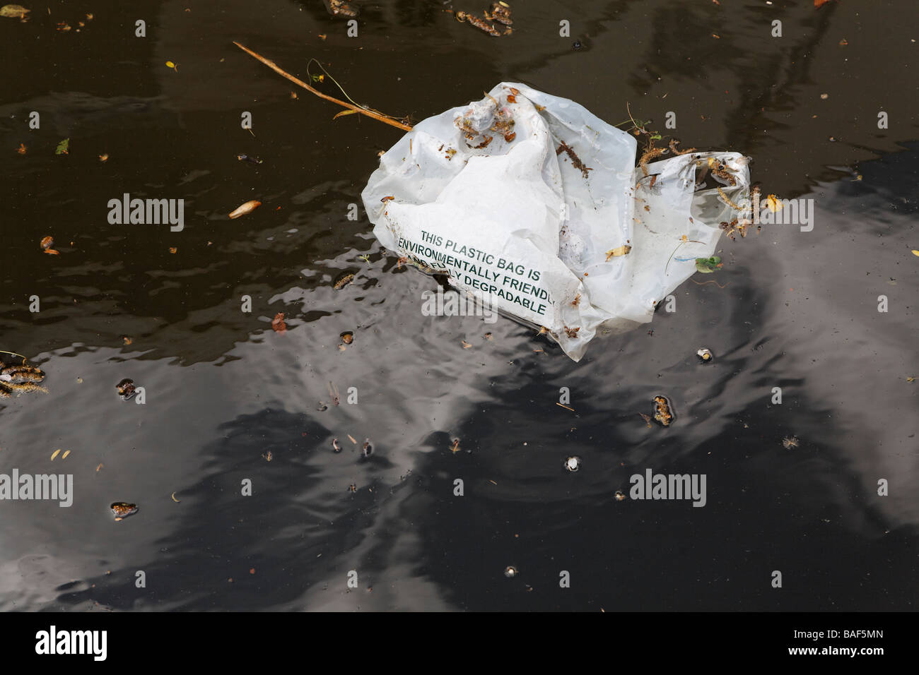 Biodegradeable plastic bag in water Stock Photo Alamy