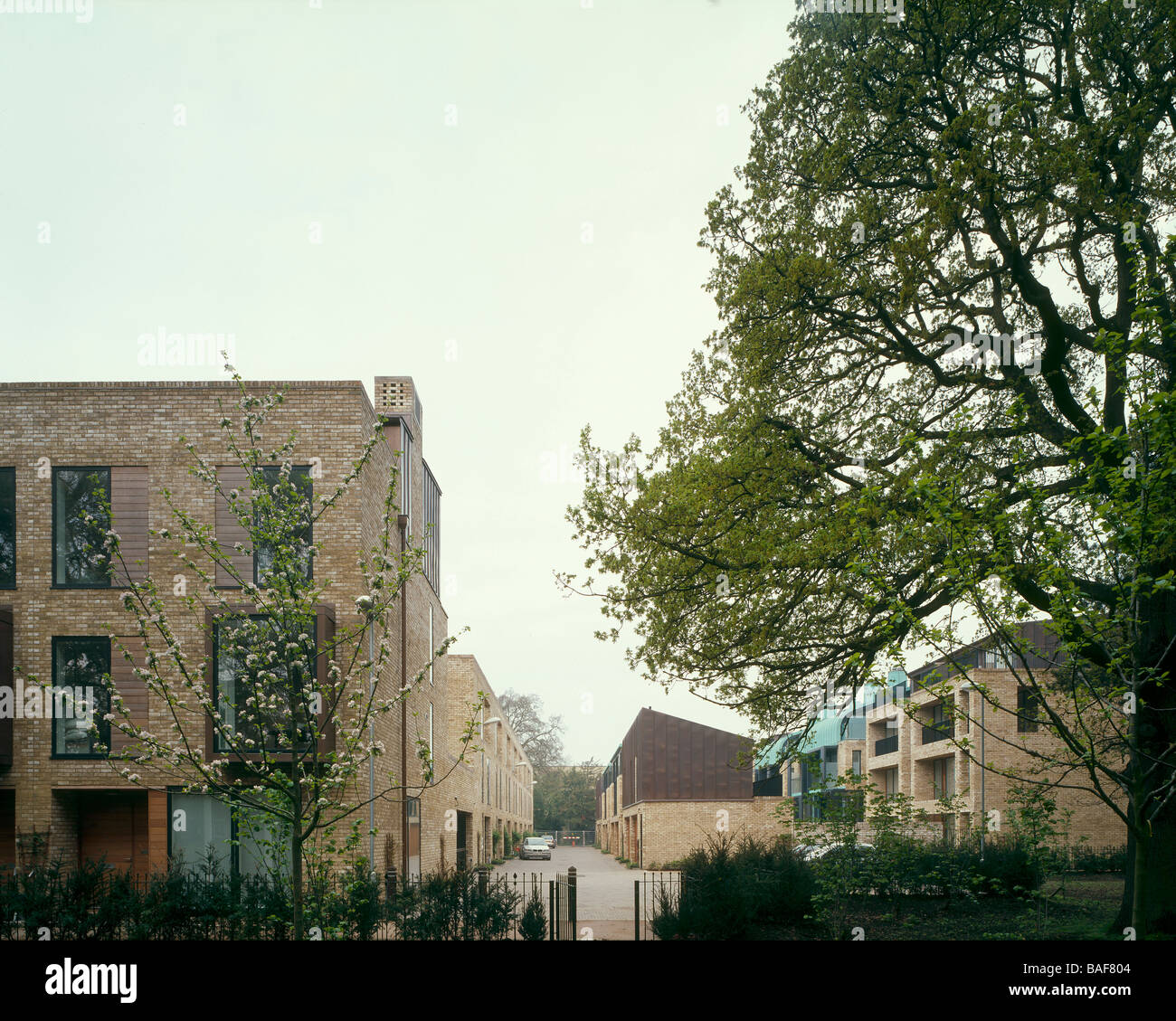 Accordia Housing, Cambridge, United Kingdom, Feilden Clegg Bradley