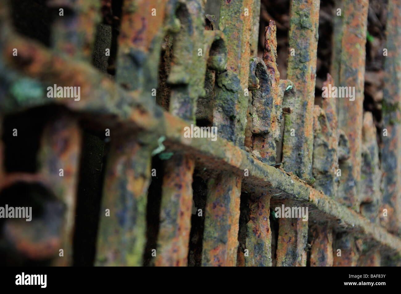 Detail from rusty iron gate Stock Photo